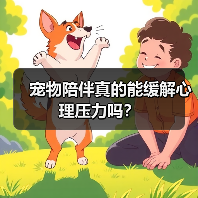 宠物陪伴真的能缓解心理压力吗？（图1）