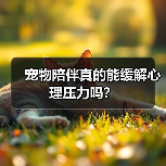 宠物陪伴真的能缓解心理压力吗？（图2）