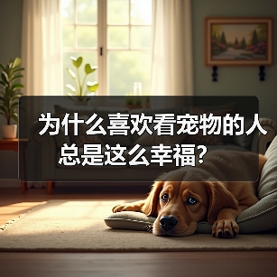 为什么喜欢看宠物的人总是这么幸福?(图2) 为什么喜欢看宠物的人总是这么幸福?(图2)