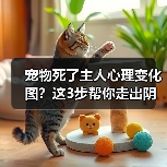 宠物死了主人心理变化图？这3步帮你走出阴影（图1）