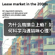 为什么撸猫会上瘾?如何科学沟通猫咪心理?(图2) 为什么撸猫会上瘾?如何科学沟通猫咪心理?(图2)