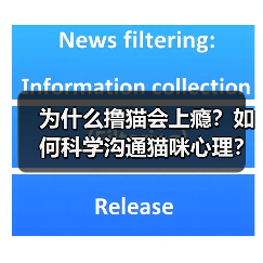为什么撸猫会上瘾?如何科学沟通猫咪心理?(图1) 为什么撸猫会上瘾?如何科学沟通猫咪心理?(图1)