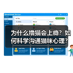 为什么撸猫会上瘾?如何科学沟通猫咪心理?(图3) 为什么撸猫会上瘾?如何科学沟通猫咪心理?(图3)