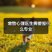 宠物心理医生需要报什么专业（图4）