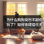 为什么狗狗突然不跟你玩了?如何重建信任关系?(图3) 为什么狗狗突然不跟你玩了?如何重建信任关系?(图3)