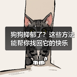 狗狗抑郁了?这些方法能帮你找回它的快乐(图2) 狗狗抑郁了?这些方法能帮你找回它的快乐(图2)