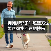 狗狗抑郁了?这些方法能帮你找回它的快乐(图4) 狗狗抑郁了?这些方法能帮你找回它的快乐(图4)