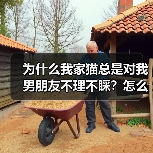 为什么我家猫总是对我男朋友不理不睬?怎么解决?(图2) 为什么我家猫总是对我男朋友不理不睬?怎么解决?(图2)