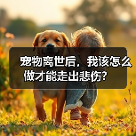 宠物离世后,我该怎么做才能走出悲伤?(图1) 宠物离世后,我该怎么做才能走出悲伤?(图1)