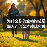 为什么你的宠物狗总是黏人?怎么才能让它独立?(图3) 为什么你的宠物狗总是黏人?怎么才能让它独立?(图3)