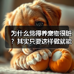 为什么觉得养宠物很脏?其实只要这样做就能改变(图2) 为什么觉得养宠物很脏?其实只要这样做就能改变(图2)