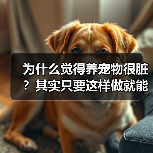 为什么觉得养宠物很脏?其实只要这样做就能改变(图3) 为什么觉得养宠物很脏?其实只要这样做就能改变(图3)