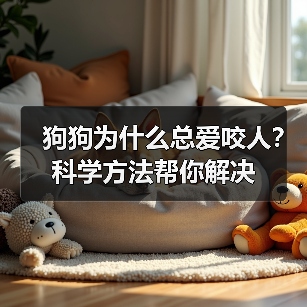 狗狗为什么总爱咬人?科学方法帮你解决(图4) 狗狗为什么总爱咬人?科学方法帮你解决(图4)