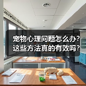 宠物心理问题怎么办?这些方法真的有效吗?(图1) 宠物心理问题怎么办?这些方法真的有效吗?(图1)