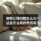宠物心理问题怎么办?这些方法真的有效吗?(图2) 宠物心理问题怎么办?这些方法真的有效吗?(图2)
