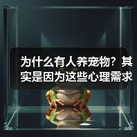 为什么有人养宠物？其实是因为这些心理需求（图4）