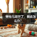 宠物鸟离世了,我该怎么办?(图1) 宠物鸟离世了,我该怎么办?(图1)