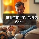 宠物鸟离世了,我该怎么办?(图2) 宠物鸟离世了,我该怎么办?(图2)
