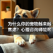 为什么你的宠物越来越焦虑?心理咨询师能帮上忙吗?(图1) 为什么你的宠物越来越焦虑?心理咨询师能帮上忙吗?(图1)