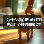 为什么你的宠物越来越焦虑?心理咨询师能帮上忙吗?(图2) 为什么你的宠物越来越焦虑?心理咨询师能帮上忙吗?(图2)
