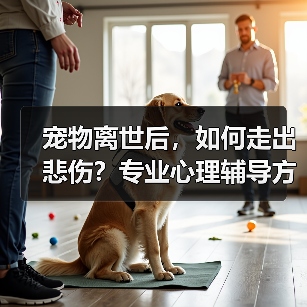 宠物离世后,如何走出悲伤?专业心理辅导方案帮你走出阴霾(图1) 宠物离世后,如何走出悲伤?专业心理辅导方案帮你走出阴霾(图1)