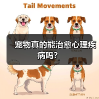 宠物真的能治愈心理疾病吗?(图4) 宠物真的能治愈心理疾病吗?(图4)