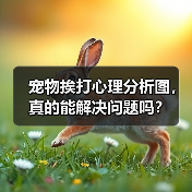 宠物挨打心理分析图,真的能解决问题吗?(图1) 宠物挨打心理分析图,真的能解决问题吗?(图1)
