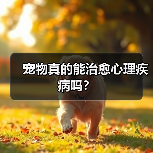 宠物真的能治愈心理疾病吗?(图3) 宠物真的能治愈心理疾病吗?(图3)