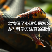 宠物得了心理疾病怎么办?科学方法真的能治(图1) 宠物得了心理疾病怎么办?科学方法真的能治(图1)