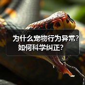 为什么宠物行为异常?如何科学纠正?(图4) 为什么宠物行为异常?如何科学纠正?(图4)