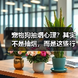 宠物狗抽烟心理?其实不是抽烟,而是这些行为在“模仿”!(图1) 宠物狗抽烟心理?其实不是抽烟,而是这些行为在“模仿”!(图1)
