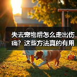 失去宠物后怎么走出伤痛?这些方法真的有用(图1) 失去宠物后怎么走出伤痛?这些方法真的有用(图1)