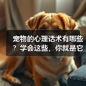 宠物的心理话术有哪些?学会这些,你就是它们的“心灵导师”(图1) 宠物的心理话术有哪些?学会这些,你就是它们的“心灵导师”(图1)