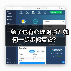 兔子也有心理阴影?如何一步步修复它?(图4) 兔子也有心理阴影?如何一步步修复它?(图4)
