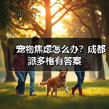 宠物焦虑怎么办?成都派多格有答案(图4) 宠物焦虑怎么办?成都派多格有答案(图4)