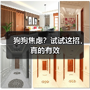 狗狗焦虑？试试这招，真的有效（图3）