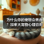 为什么你的宠物会焦虑?加拿大宠物心理咨询师教你如何解决(图1) 为什么你的宠物会焦虑?加拿大宠物心理咨询师教你如何解决(图1)