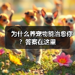 为什么养宠物能治愈你？答案在这里（图2）
