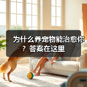 为什么养宠物能治愈你？答案在这里（图3）