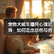 宠物犬被车撞死心理疏导:如何走出悲伤与自责(图2) 宠物犬被车撞死心理疏导:如何走出悲伤与自责(图2)