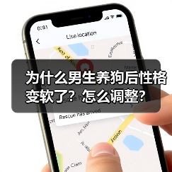 为什么男生养狗后性格变软了?怎么调整?(图3) 为什么男生养狗后性格变软了?怎么调整?(图3)