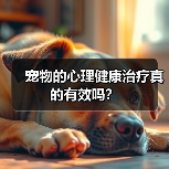 宠物的心理健康治疗真的有效吗?(图3) 宠物的心理健康治疗真的有效吗?(图3)