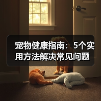 宠物健康指南:5个实用方法解决常见问题(图2) 宠物健康指南:5个实用方法解决常见问题(图2)