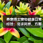 养宠博士宠物健康日常经验:需求判断、方案选择和避坑建议(图4) 养宠博士宠物健康日常经验:需求判断、方案选择和避坑建议(图4)
