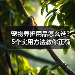 宠物养护用品怎么选？5个实用方法教你正确判断与使用（图4）