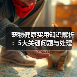 宠物健康实用知识解析:5大关键问题与处理方法(图1) 宠物健康实用知识解析:5大关键问题与处理方法(图1)