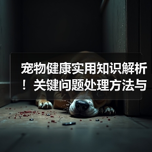 宠物健康实用知识解析！关键问题处理方法与维护要点