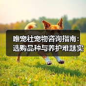 唯宠社宠物咨询指南:选购品种与养护难题实用5方法(图1) 唯宠社宠物咨询指南:选购品种与养护难题实用5方法(图1)
