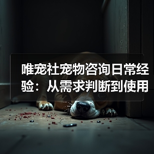 唯宠社宠物咨询日常经验:从需求判断到使用维护全攻略(图1) 唯宠社宠物咨询日常经验:从需求判断到使用维护全攻略(图1)