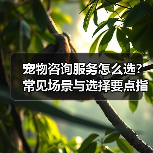 宠物咨询服务怎么选?常见场景与选择要点指南(图4) 宠物咨询服务怎么选?常见场景与选择要点指南(图4)